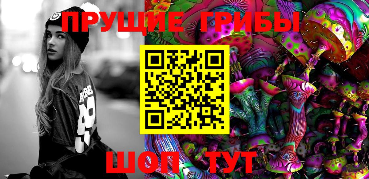 Галлюциногенные грибы прущие грибы Новочеркасск