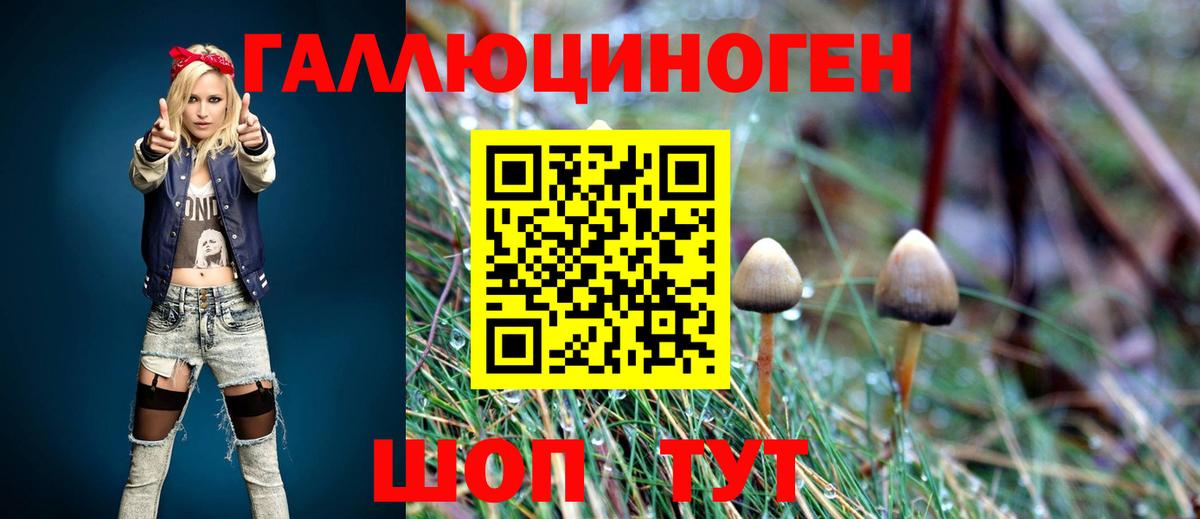 Новочеркасск  Галлюциногенные грибы Psilocybe  Галлюциногенные грибы мухоморы  Вход с VPN 